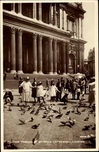 Ak London City England, Feeding Pigeons at St. Pauls Cathedral