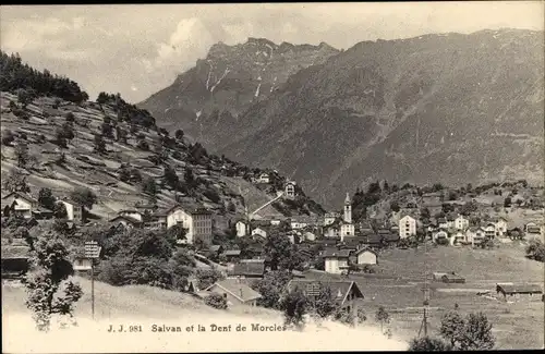 Ak Salvan Kanton Wallis Schweiz, Panorama