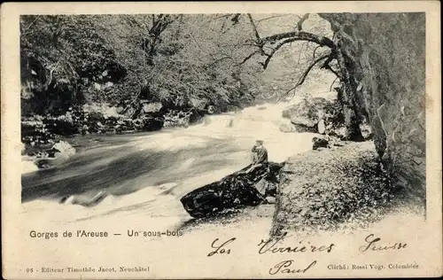 Ak Boudry Kanton Neuenburg, Gorges de l'Areuse, Un sous bois