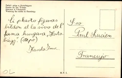 Ak Rinder an der Tränke, Watering the cattle in Hortobagy