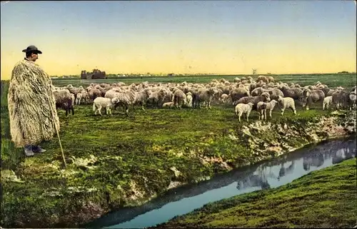 Ak Puszta Leben, Schafhirte mit Herde, Des moutons sur la plaine