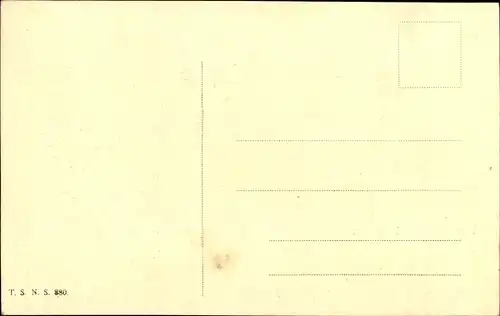 Ak Vier Katzen, Katzenportrait, Tierportrait