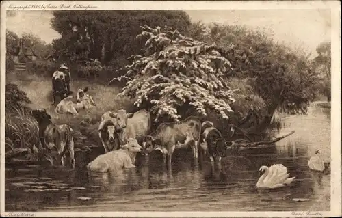 Künstler Ak Bradley, B., Kühe und Schwäne im Wasser