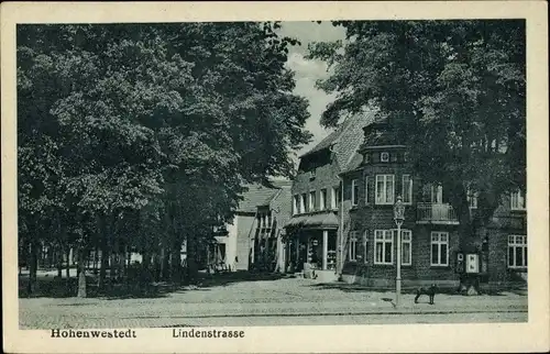 Ak Hohenwestedt in Holstein, Lindenstraße