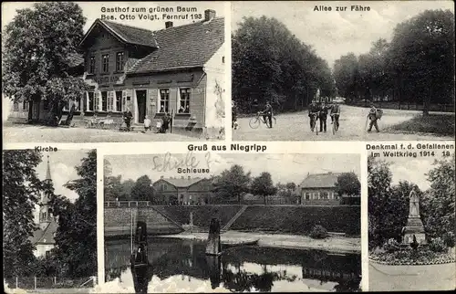 Ak Niegripp Burg bei Magdeburg, Gasthof zum grünen Baum, Allee zur Fähre, Schleuse, Denkmal