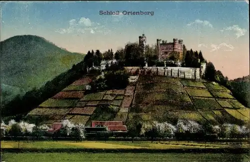 Ak Ortenberg in Baden, Schloss Ortenberg, Weinberg