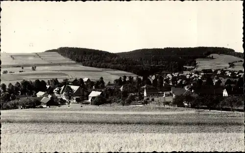 Ak Polenz Neustadt in Sachsen, Panorama