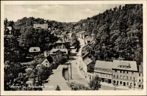 Ak Tharandt Sachsen, Wilsdruffer Straße