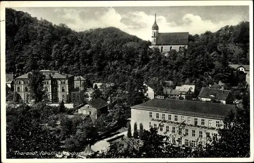 Ak Tharandt im Erzgebirge, Forstliche Hochschule