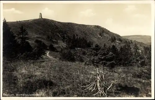 Ak Feldberg im Schwarzwald, Bismarckdenkmal auf dem Seebuck