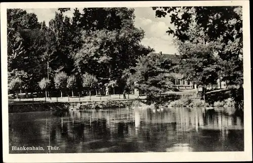 Ak Blankenhain in Thüringen, Park-Hotel, See