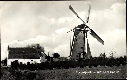 Ak Colijnsplaat Zeeland Niederlande, Oude Korenmolen