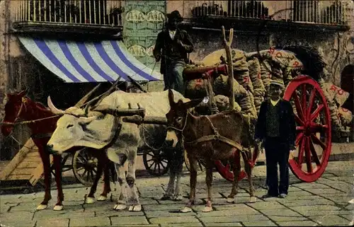 Ak Napoli Neapel Campania, Carro da transporto