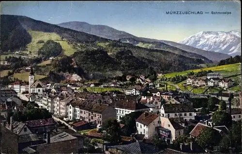 Ak Mürzzuschlag Steiermark, Schneealpe, Totale