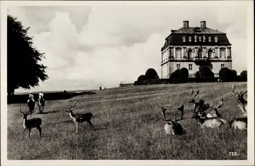 Ak Klampenborg Dänemark, Eremitageslottet