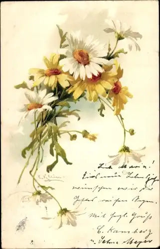 Künstler Litho Klein, Catharina, Blüten, Margeriten