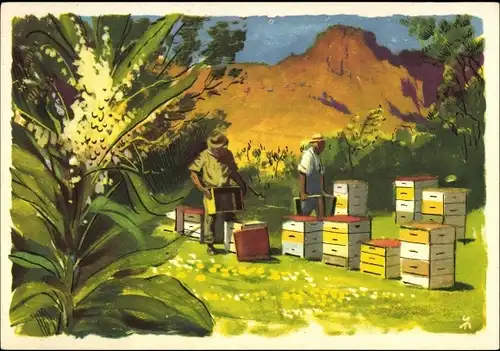 Künstler Ak Bienenzucht in aller Welt, Honighaus Bienenfleiß Niendorf, Bienenhaus in Mexiko