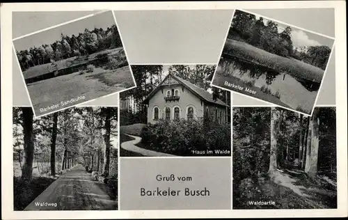 Ak Barkel Schortens in Friesland, Barkeler Busch, Waldpartie, Barkeler Meer, Waldweg