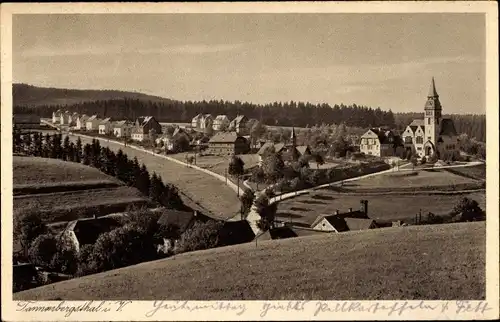 Ak Tannenbergsthal im Vogtland, Panorama