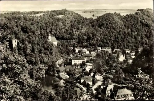 Ak Tharandt im Erzgebirge, Ortspanorama