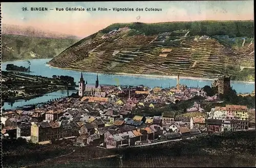 Ak Bingen am Rhein, Vue Generale et le Rhin, Vignobles des Coteaux