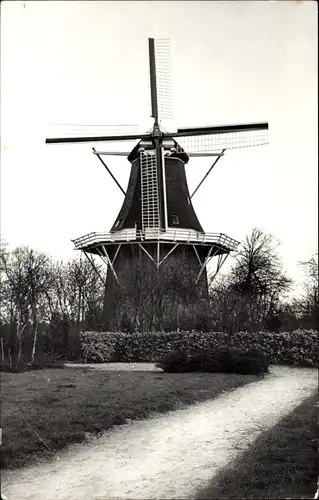 Ak Oude Pekela Groningen Niederlande, Molen