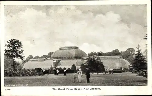 Ak Kew London Borough of Richmond upon Thames, Kew Gardens, The Great Palm House