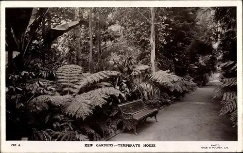 Ak Kew London Borough of Richmond upon Thames, Kew Gardens Temperate House