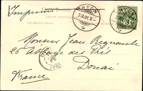 Ak Nyon Kanton Waadt, Teilansicht, Dampfer