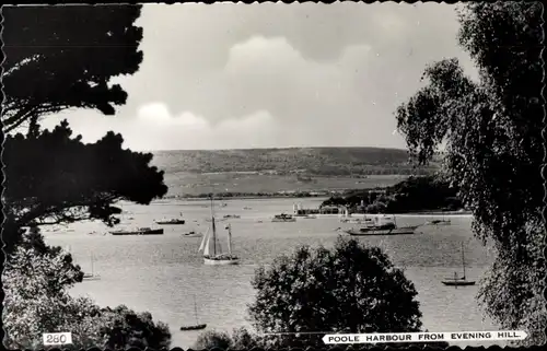 Ak Poole Dorset England, Harbour from Evening Hill