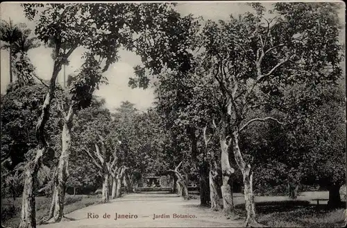 Ak Rio de Janeiro Brasilien, Jardim Botanico