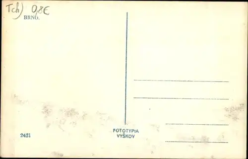Ak Brno Brünn Südmähren, Teilansicht