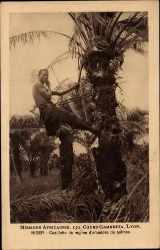 Ak Niger, Cueillette de regime d'amandes de palmes, Missions Africaines
