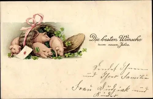 Ak Glückwunsch Neujahr, Glücksklee, Schweine im Korb