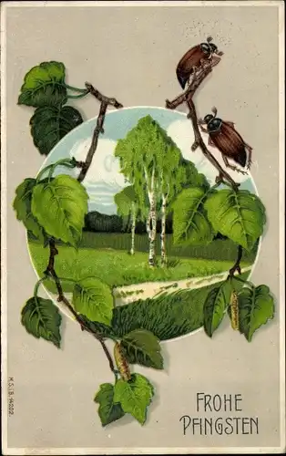 Präge Ak Glückwunsch Pfingsten, Maikäfer auf Birkenzweig