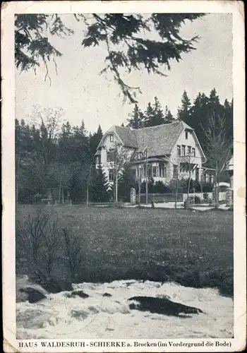 Ak Schierke Wernigerode am Harz, Haus Waldesruh