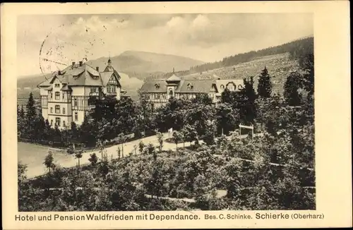 Ak Schierke Wernigerode am Harz, Hotel und Pension Waldfrieden mit Dependance
