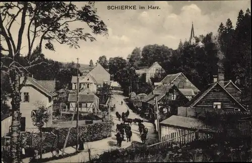 Ak Schierke Wernigerode Harz, Blick auf die Stadt, Straßenansicht, Rinderherde, Viehtrieb