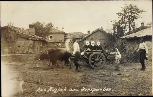 Foto Ak Kozjak am Prespasee Mazedonien, Rinderfuhrwerk, verschleierte Frauen