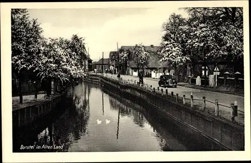 Ak Borstel Jork im Alten Land, Straßenpartie