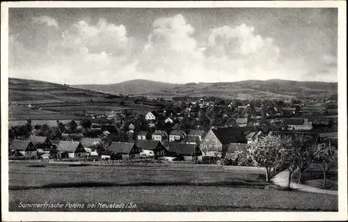 Ak Polenz Neustadt in Sachsen, Panorama