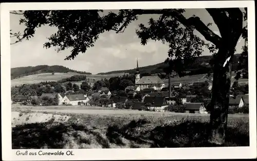 Ak Cunewalde in der Lausitz, Panorama