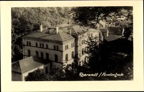 Foto Ak Tharandt im Erzgebirge, Forstschule, Vogelschau