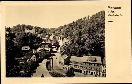 Ak Tharandt im Erzgebirge, Teilansicht, Wilsdruffer Straße