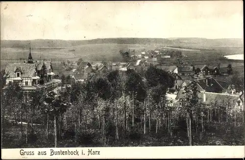 Ak Buntenbock Clausthal Zellerfeld Oberharz, Blick zum Ort