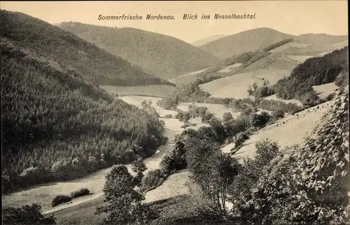 Ak Nordenau Schmallenberg im Sauerland, Blick ins Nesselbachtal