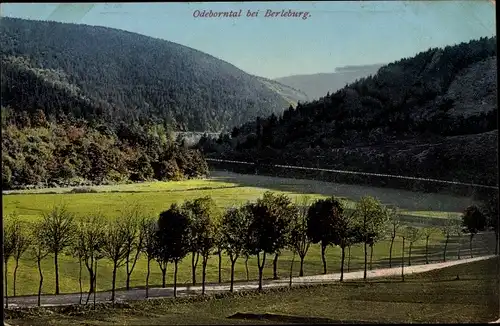 Ak Bad Berleburg in Westfalen, Odeborntal