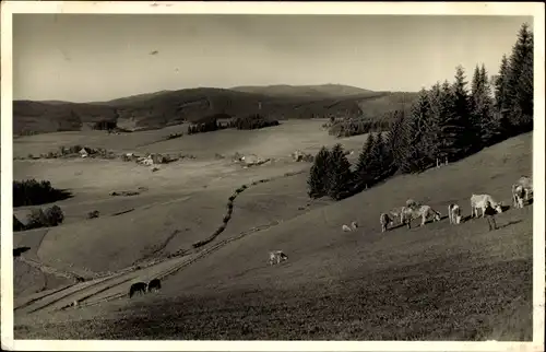 Ak Breitnau im Schwarzwald, Panorama, Gasthof zum Kreuz