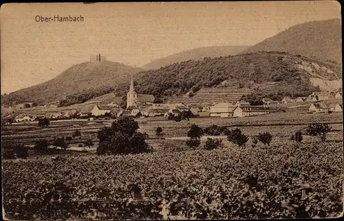 Ak Oberhambach Hambach Neustadt an der Weinstraße, Panorama