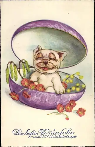 Ak Glückwunsch Geburtstag, Hund im Ei, Blumen